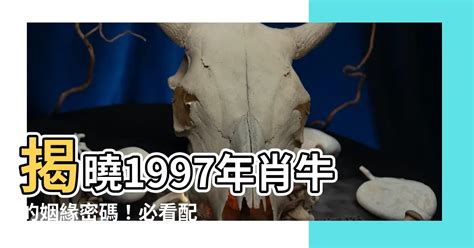 1997生肖配對|【97年生肖】揭曉1997年肖牛的姻緣密碼！必看配對表，找出你。